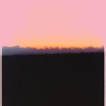 Collection Erin Remington | Curator's Picks