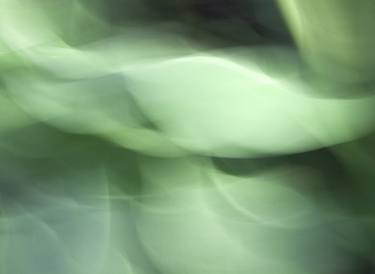 Original Impressionism Botanic Photography by RYN CLARKE