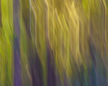Original Abstract Expressionism Landscape Photography by RYN CLARKE