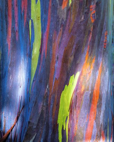 Print of Abstract Expressionism Botanic Photography by RYN CLARKE
