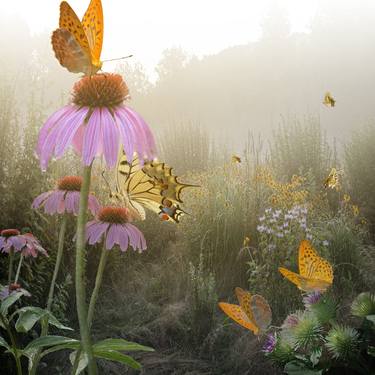 Original Conceptual Botanic Photography by RYN CLARKE