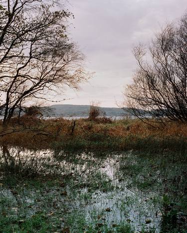 Hawking Craig Wood, Toward Little Cumbrae thumb