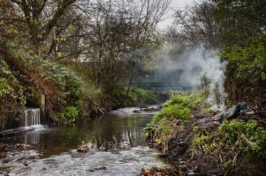 Hogsmill Valley (26th November 1977) - Limited Edition 10 of 10 thumb