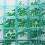 carica ( herbalife series ) by agus Sumiantara