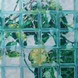 morinda citrifolia ( herbal series )  by agus Sumiantara