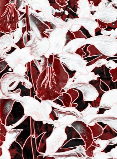 Original Abstract Expressionism Floral Photography by Vera Deans