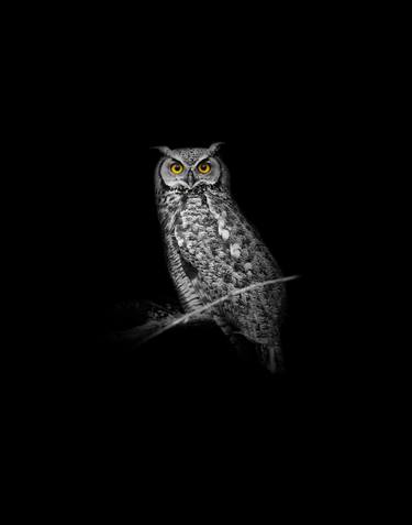 Horned Owl | Darkness Series thumb