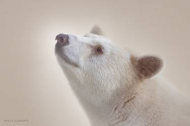 Original Modern Animal Photography by Nick Clements