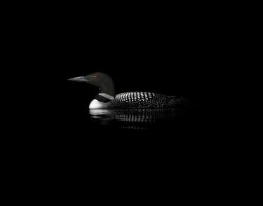 Loon | Darkness Series - Limited Edition 2 of 100 thumb
