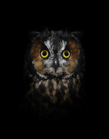 Great Horned Owlie | Darkness Series - Limited Edition 2 of 100 thumb