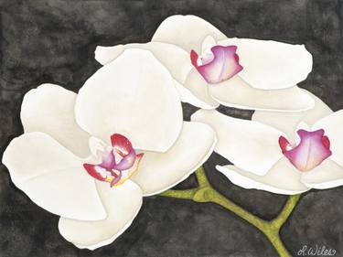 Original Floral Paintings by Lisa Bellavance