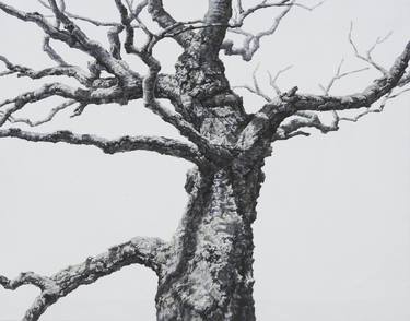 Original Fine Art Tree Paintings by Yurim Seong
