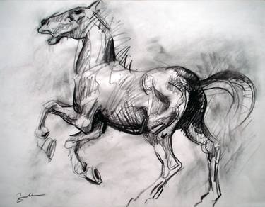 Original Figurative Horse Drawings by Razvan Zahu