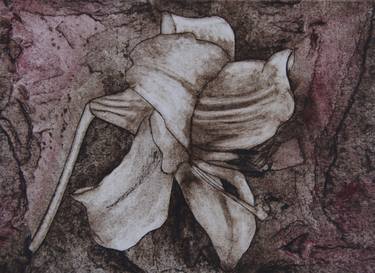 Print of Modern Floral Printmaking by Wendy Ronaldson