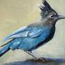Collection BIRD paintings