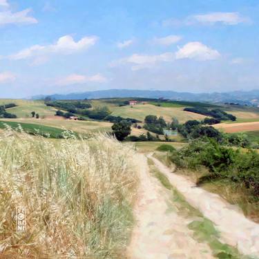 Vista colline di Cerqueto thumb