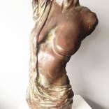 Iris by Frederic Berjot