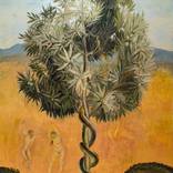 Tree life by Natalya Shestakova