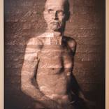 Shame No.2 by Paul Koeleman