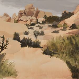 Collection Southwest Art
