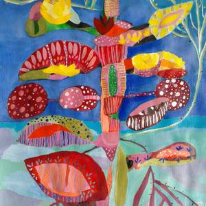 Collection Boho Rugs