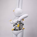 Ribs of Hope by mr clement