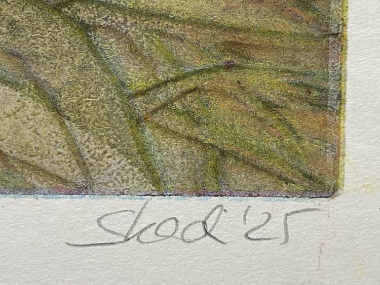 Original Abstract Landscape Printmaking by Skadi Engeln
