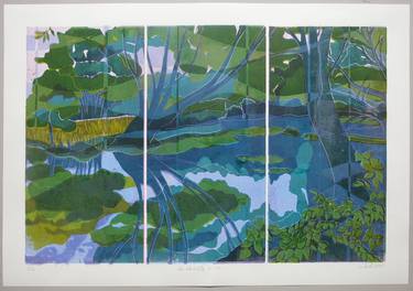 Original Landscape Printmaking by Skadi Engeln