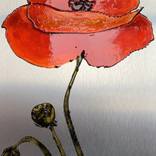 Coquelicot  - Limited Edition of 1 by sand art bluto