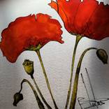 Coquelicot sur aluminium  - Limited Edition of 1 by sand art bluto