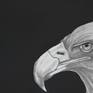 Decline and Fall of the Golden Eagle By Margot Stinton
Made with Palomino Blackwing Pearl and 602 pencils, on Bockingford 300gms watercolour Extra rough paper.
Inspired by the death of the last Golden Eagle in Wales UK this month.
Framed and ready to hang all supports supplied.
Original and unique artwork.
Certificate of authenticity supplied.