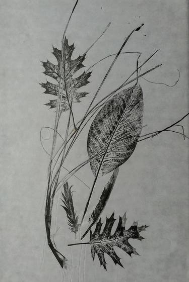 Print of Abstract Nature Printmaking by ozgun evren erturk