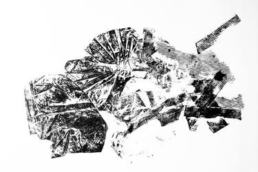Original Abstract Animal Printmaking by ozgun evren erturk