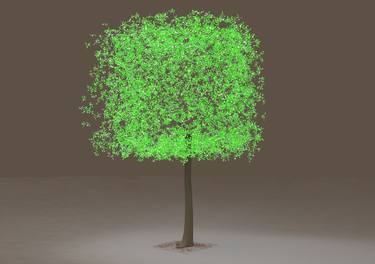 luminous tree - Limited Edition 1 of 1 thumb