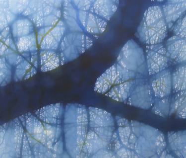 Print of Abstract Tree Paintings by Jo Louca