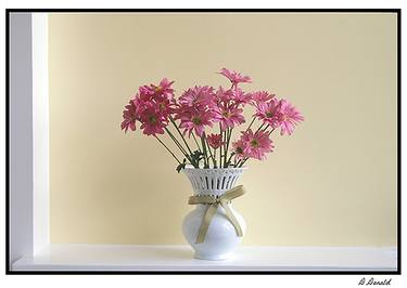Original Fine Art Floral Photography by Denise Donald