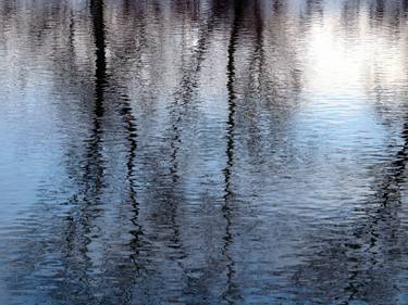 Print of Abstract Expressionism Tree Photography by Peter Hardstone