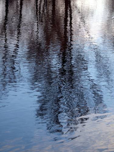 Print of Abstract Expressionism Tree Photography by Peter Hardstone