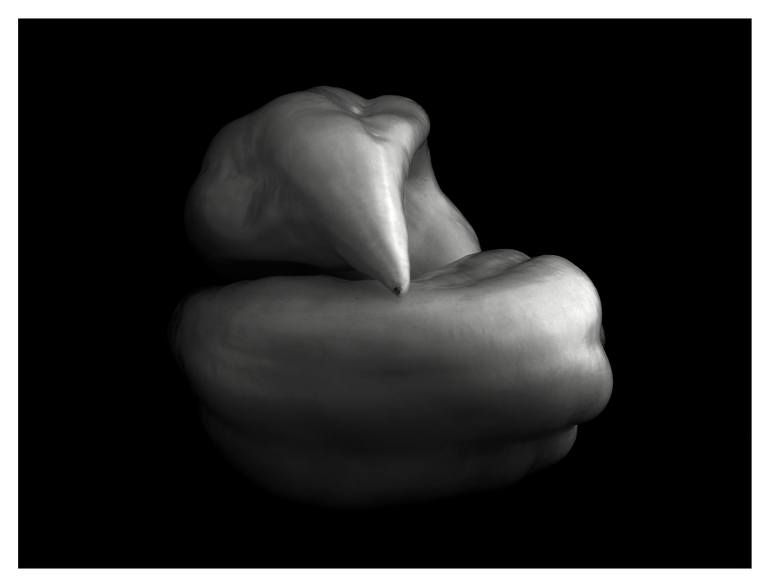 Original Conceptual Still Life Photography by Peter Hardstone