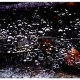 Collection Frozen Galaxies.