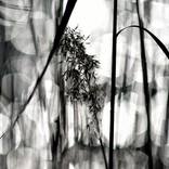Sun in The Lake 1 - Limited Edition of 3 by Peter Hardstone