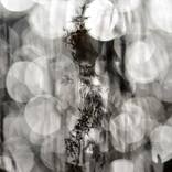 Sun in the Lake 2 - Limited Edition of 3 by Peter Hardstone