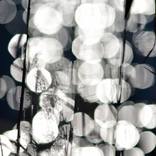 Sun in the Lake 3 - Limited Edition of 3 by Peter Hardstone