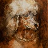 Nostalgic Poodle by Margit Platny
