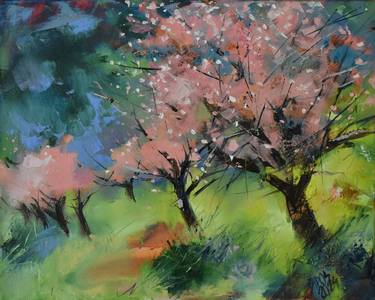Apricot trees in spring. thumb