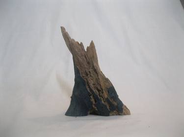 Original Tree Sculpture by Paul Springett