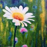 Wild beauty by Ottilia Cormos