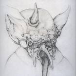 ‘Mutant' by Scott D Wilson