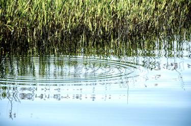 Print of Documentary Nature Photography by Gonul Engin YILMAZ