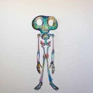 Skeleton